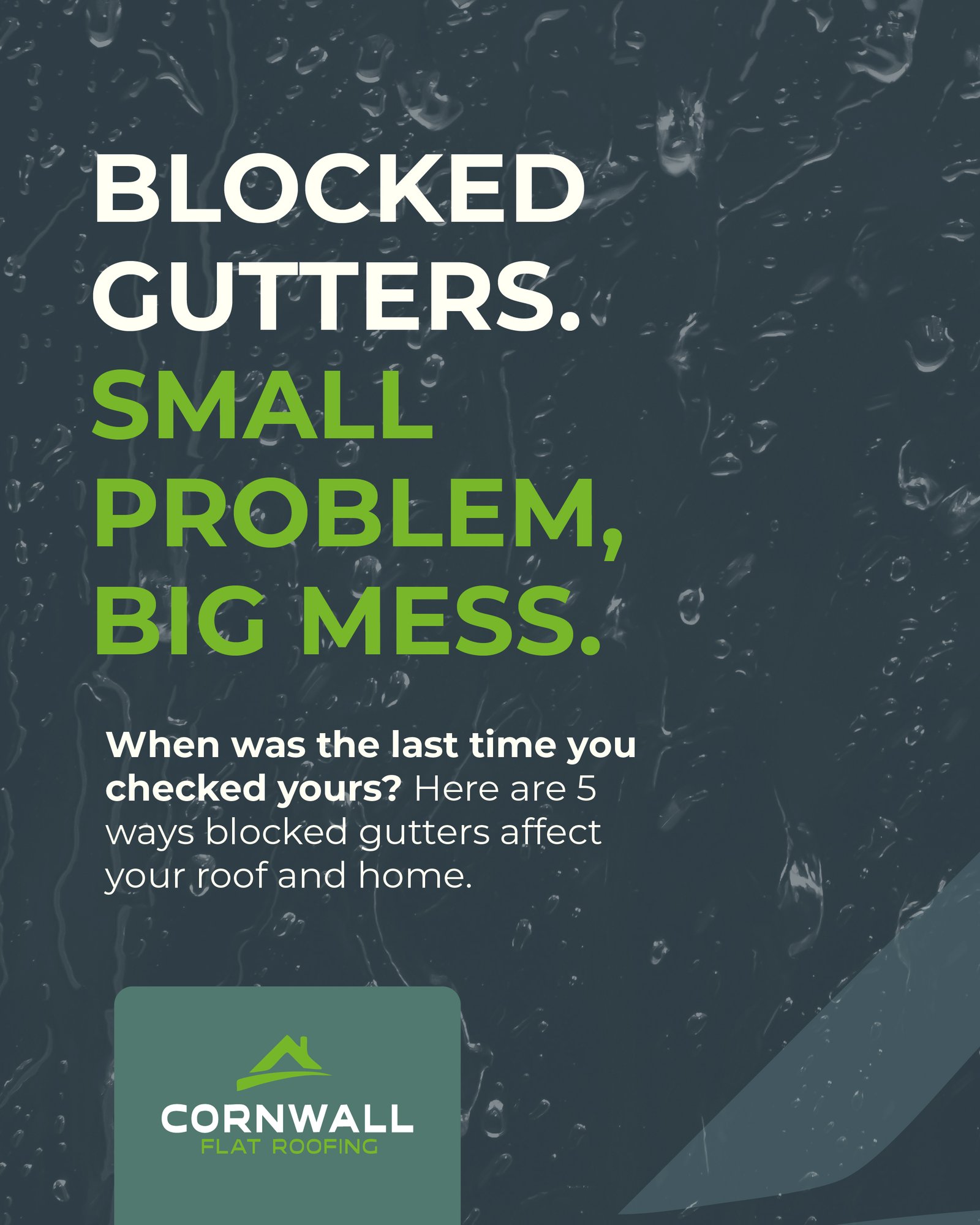 cfr social media post